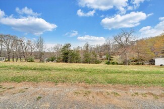 0 Parrish Rd, Goodview, VA 24095