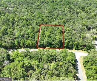 LOT 50 Tar Flower Trail, Waverly, GA 31565