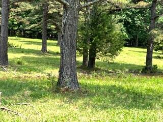 Pr County Road 164, King Township, MO 63941