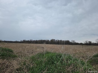 6424 Sherwood Par C F-2 Rd, Conway Township, MI 48836