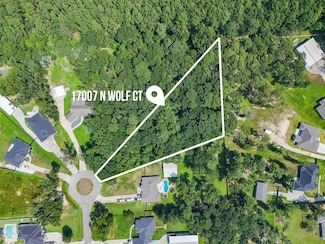 17007 N Wolf Ct, Splendora, TX 77372