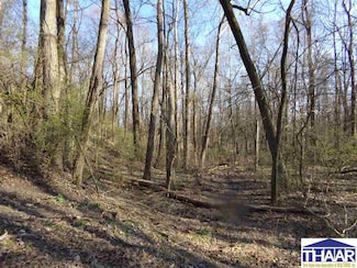 Lot #2 N Cory Staunton Rd, Posey Township, IN 47834