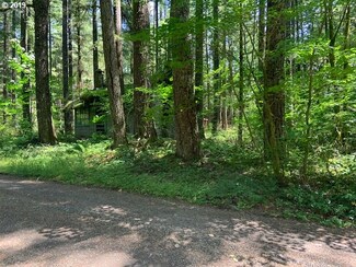 68108 E Emigrant Trail, Mount Hood Village, OR 97067