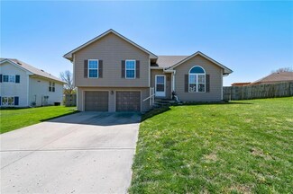 2203 Madison Ave, Excelsior Springs, MO 64024
