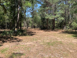36155 Old Courtney Rd, Waller, TX 77484