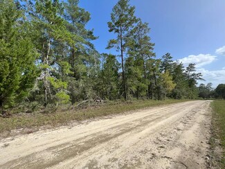 TBD SE 141 Ct, Williston, FL 32696