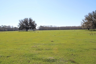 7014 Calvin Lee Rd, Groveland, FL 34736