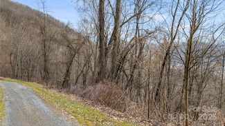 TBD Live Oak Loop Unit 96/98/100, Waynesville, NC 28785