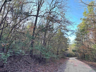 TBD County Road 1784, Jefferson, TX 75657