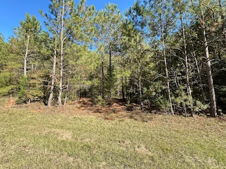 0 Crook Rd Unit 549278, Lincolnton, GA 30817