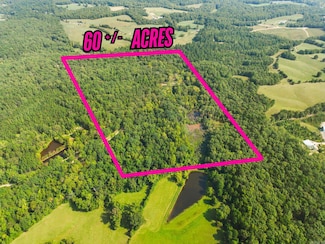 TBD Halyard Trail, Hot Springs, AR 71901