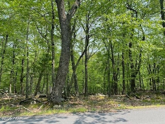 0 Arrowood Dr, Dingman Township, PA 18337