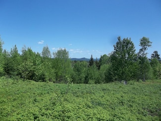 0 Sherman Hill Rd Unit 1625909, Robbinston, ME 04671
