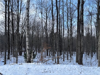 0 Smokey Ave Unit R1652919, Westford, NY 12155