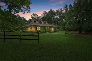 25672 Magnolia Pines Dr, Magnolia, TX 77355