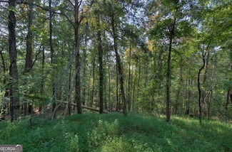 1038 Astro Ct, Ranger, GA 30734