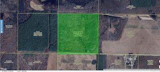 000 Stokes Rd, Bald Knob, AR 72010