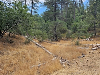 0 Sun Valley Rd Unit 224068671, Weimar, CA 95713