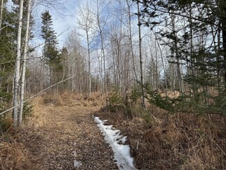 On T Cth T, Pearson, WI 54462