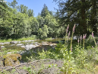 37925 NE Vernon Rd, Washougal, WA 98671