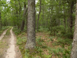 0 N Tuttle Rd Unit 38.39 Acres 17032219, Freesoil, MI 49411