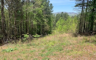 LT 28 Loftis Mountain Way, Blairsville, GA 30512