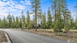 24 Wanawish Loop, Cle Elum, WA 98922