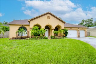 2222 Glen Mist Dr, Valrico, FL 33594