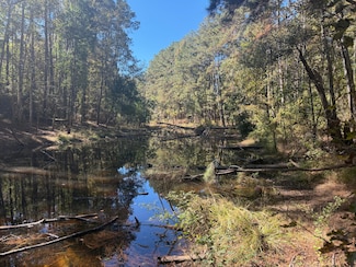 8.2 Ac MOL Timber Lane Dr, Collins, MS 39428