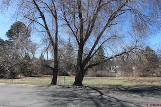 Lot 1, TBD SE Stonebridge Dr, Cedaredge, CO 81413