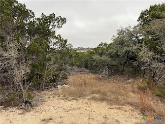 713 Stagecoach, Spring Branch, TX 78070