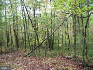 0 Brown Bear Trail Unit WVHS105132, Bloomery, WV 26817
