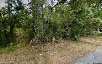 4202 E 21st St, Lehigh Acres, FL 33920