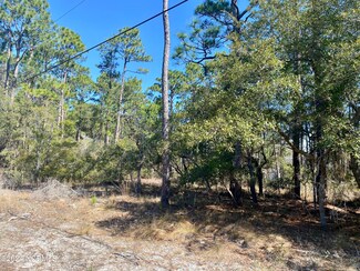 Lot 20 Lexington Rd, Boiling Spring Lakes, NC 28461