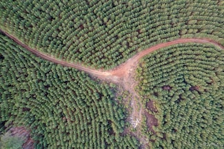 TBD Perkins Mill Rd, Dillwyn, VA 23901