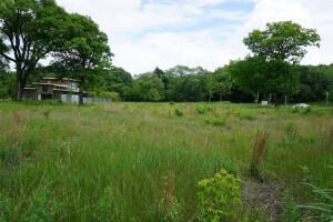1035 N Wells St, Gary, IN 46403
