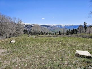 58 Thads Peak Dr Unit J58, Fairview, UT 84629