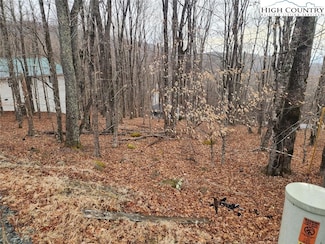 153 Pond Creek Rd, Beech Mountain, NC 28604