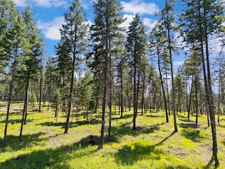 4554 U S 93, Whitefish, MT 59937