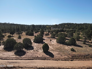 0 Iron Spur, Show Low, AZ 85901