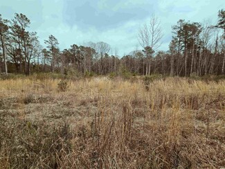 TBD 4 S Carolina 66, Loris, SC 29569