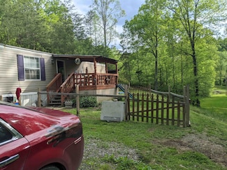 704 Wolf Pen Hollow Rd, Wurtland, KY 41144