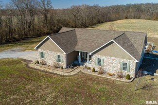 1847 Christopher Lake Rd, Mulkeytown, IL 62865