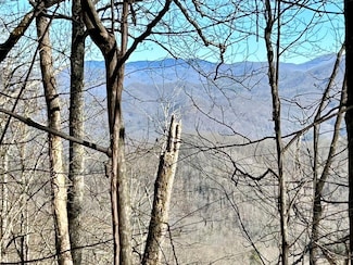 Lot 25 Maltese Way, Whittier, NC 28789