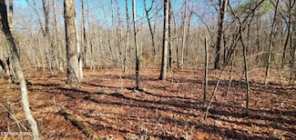 11 Rhonda Rd, Monterey, TN 38574