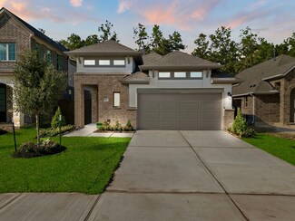 28825 Window View Dr, New Caney, TX 77357