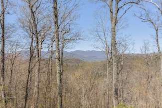 2473 Highland Gap Rd, Scaly Mountain, NC 28775