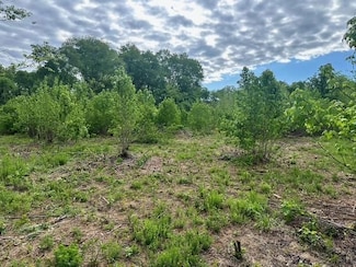 0 Satcher Rd Unit 4 19430080, Taylorsville, GA 30178