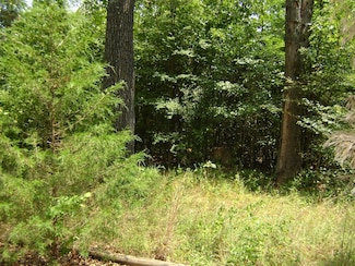 206 & 208 Wedge Rd, Horseshoe Bend, AR 72512