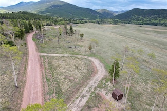 2436 Petito Dr, Fort Garland, CO 81133